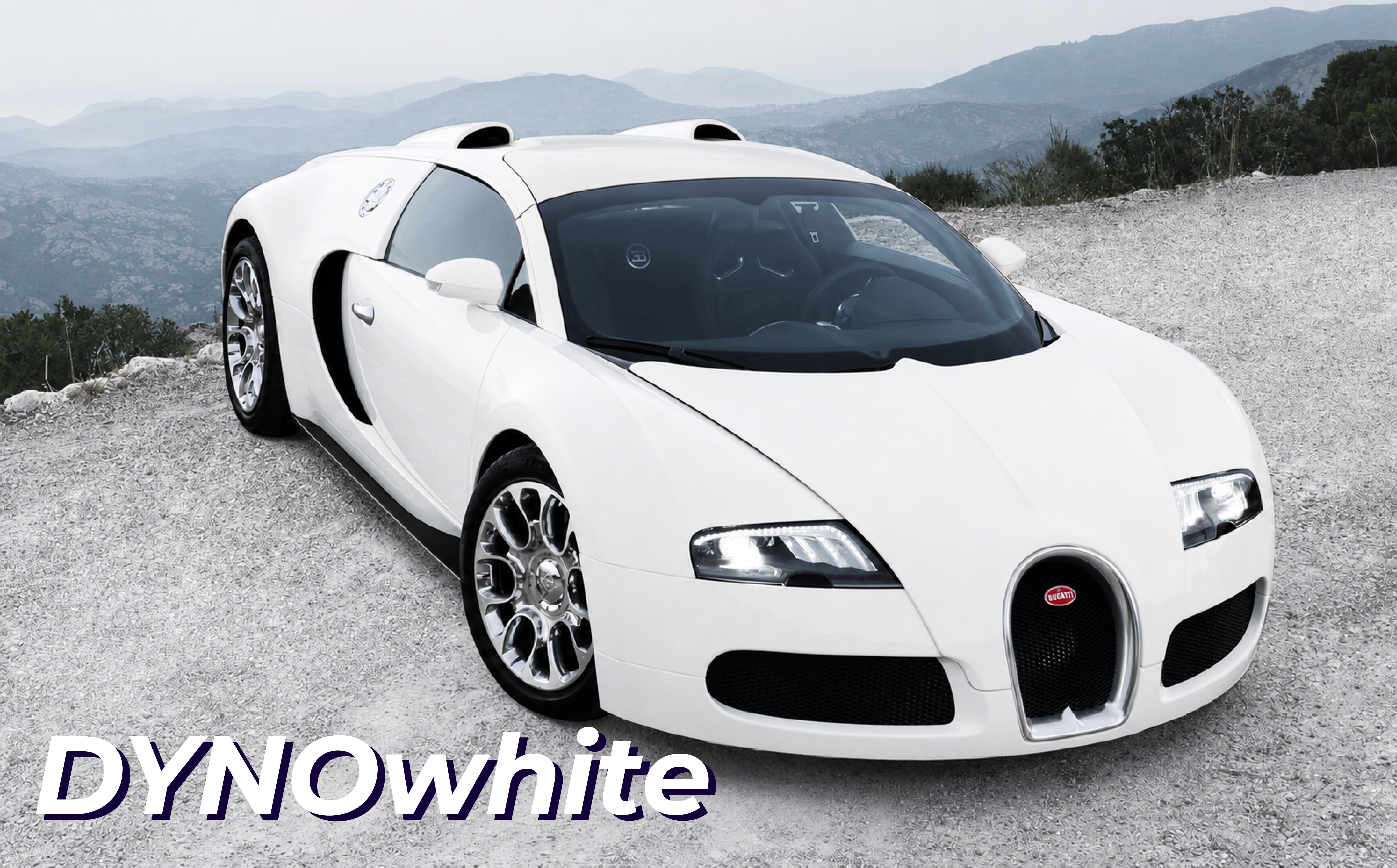 DYNOwhite／ﾀﾞｲﾉﾎﾜｲﾄ(60) 1524mm(幅)×15M(巻)